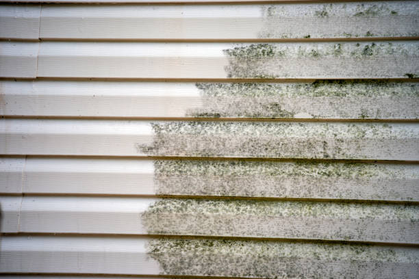 Affordable siding repair and maintenance services in Footville, WI